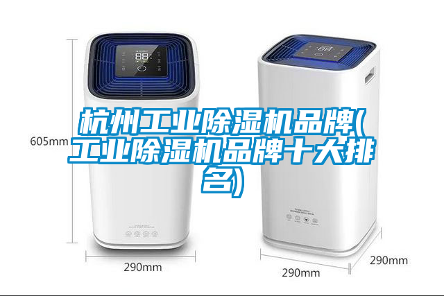 杭州工業(yè)除濕機品牌(工業(yè)除濕機品牌十大排名)