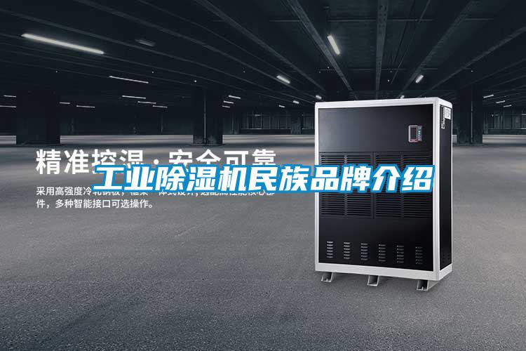 工業(yè)除濕機民族品牌介紹