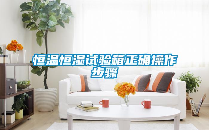 恒溫恒濕試驗(yàn)箱正確操作步驟