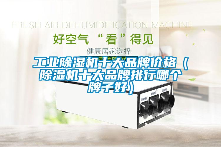 工業除濕機十大品牌價格（除濕機十大品牌排行哪個牌子好）