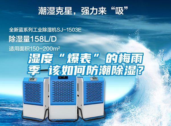 濕度“爆表”的梅雨季 該如何防潮除濕？