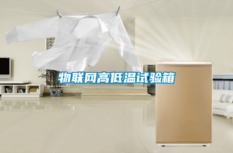 物聯網高低溫試驗箱