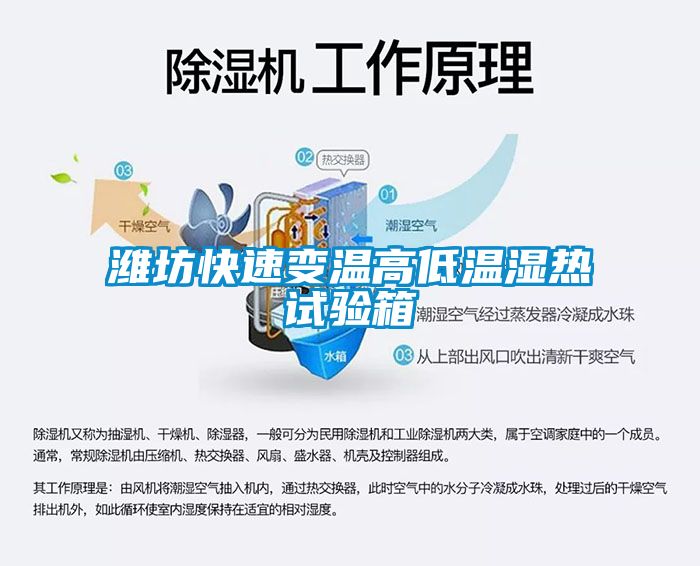 濰坊快速變溫高低溫濕熱試驗箱
