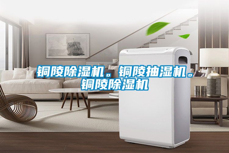 銅陵除濕機。銅陵抽濕機。銅陵除濕機