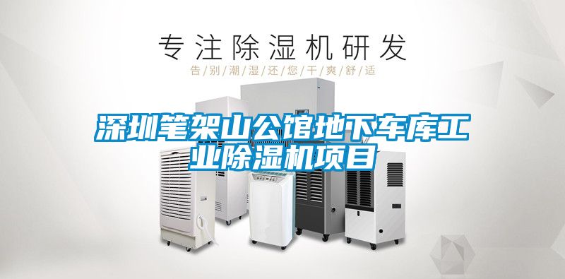深圳筆架山公館地下車庫工業(yè)除濕機項目