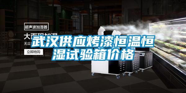 武漢供應烤漆恒溫恒濕試驗箱價格