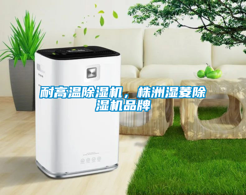 耐高溫除濕機，株洲濕菱除濕機品牌