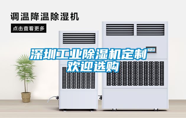深圳工業除濕機定制 歡迎選購
