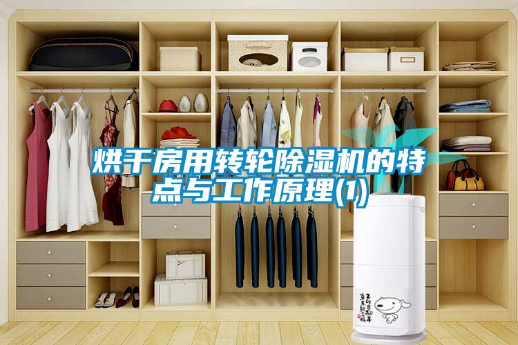 烘干房用轉(zhuǎn)輪除濕機(jī)的特點(diǎn)與工作原理(1)