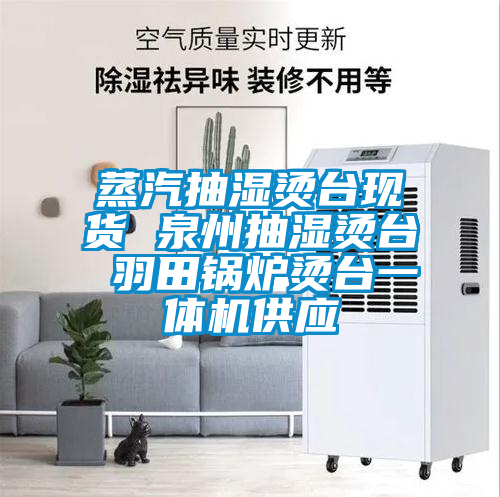 蒸汽抽濕燙臺(tái)現(xiàn)貨 泉州抽濕燙臺(tái) 羽田鍋爐燙臺(tái)一體機(jī)供應(yīng)