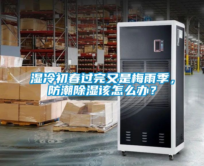 濕冷初春過完又是梅雨季，防潮除濕該怎么辦？