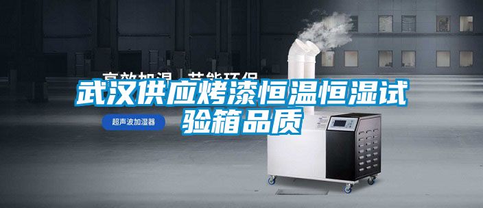 武漢供應(yīng)烤漆恒溫恒濕試驗箱品質(zhì)