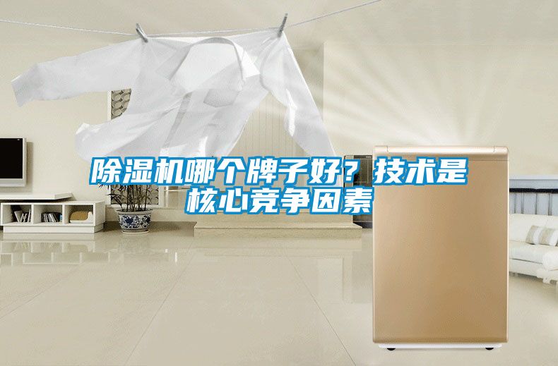 除濕機哪個牌子好？技術是核心競爭因素