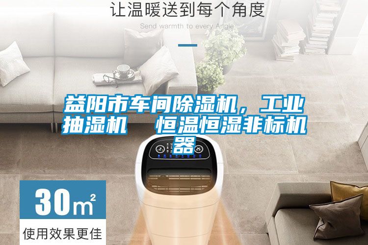 益陽市車間除濕機(jī)，工業(yè)抽濕機(jī)  恒溫恒濕非標(biāo)機(jī)器