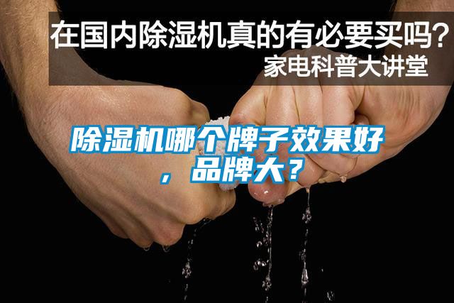 除濕機哪個牌子效果好，品牌大？