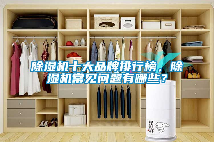 除濕機十大品牌排行榜，除濕機常見問題有哪些？
