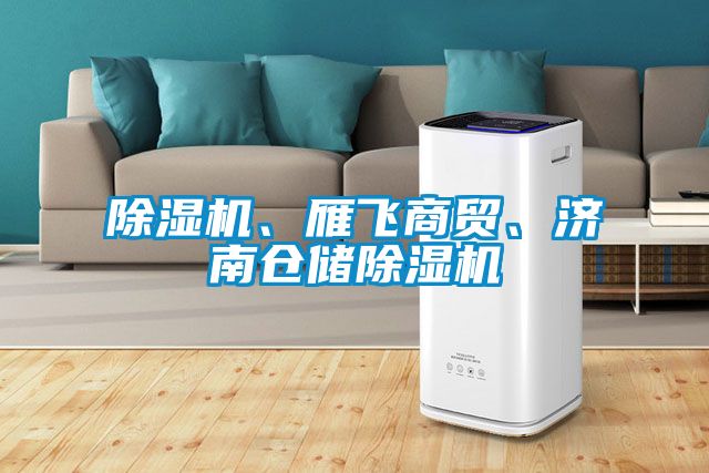 除濕機(jī)、雁飛商貿(mào)、濟(jì)南倉儲(chǔ)除濕機(jī)