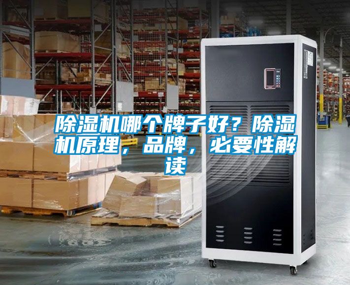 除濕機哪個牌子好？除濕機原理，品牌，必要性解讀