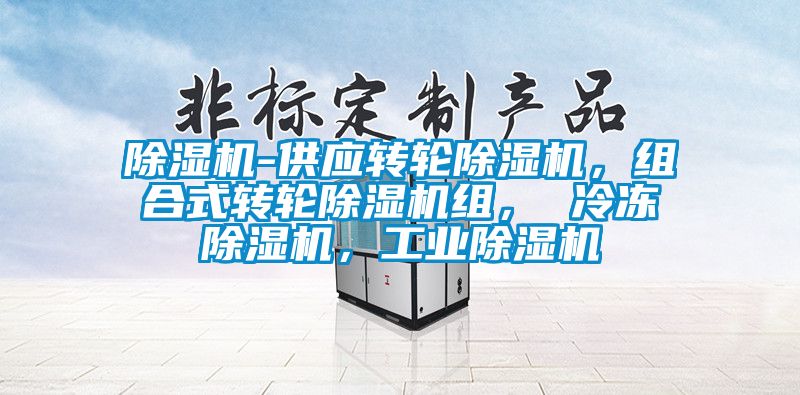 除濕機-供應(yīng)轉(zhuǎn)輪除濕機，組合式轉(zhuǎn)輪除濕機組， 冷凍除濕機，工業(yè)除濕機