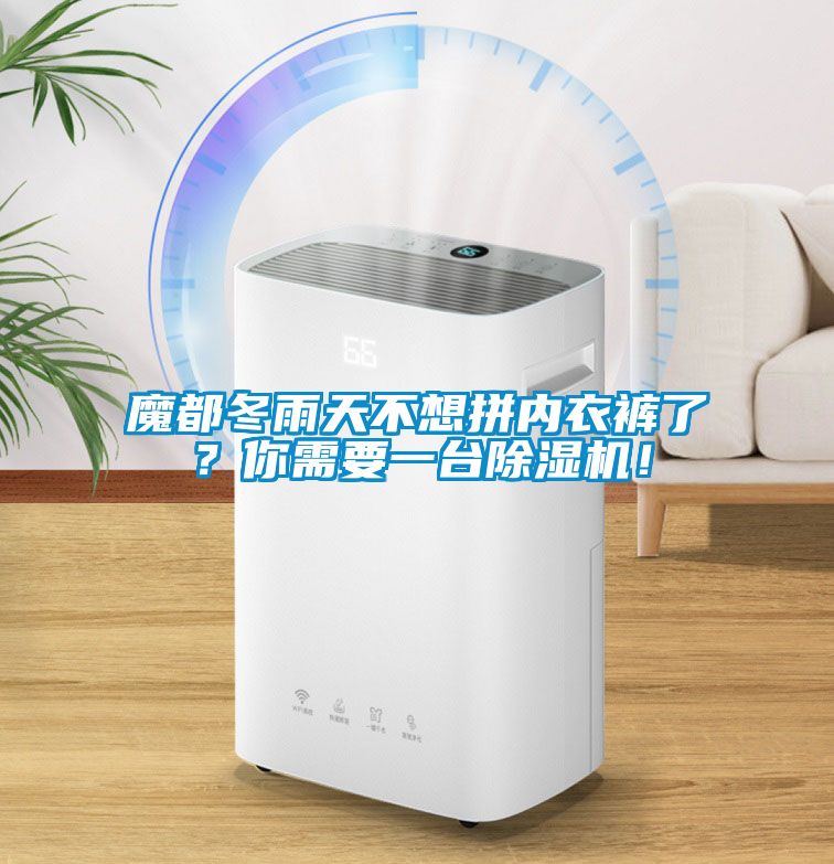 魔都冬雨天不想拼內(nèi)衣褲了？你需要一臺除濕機(jī)！