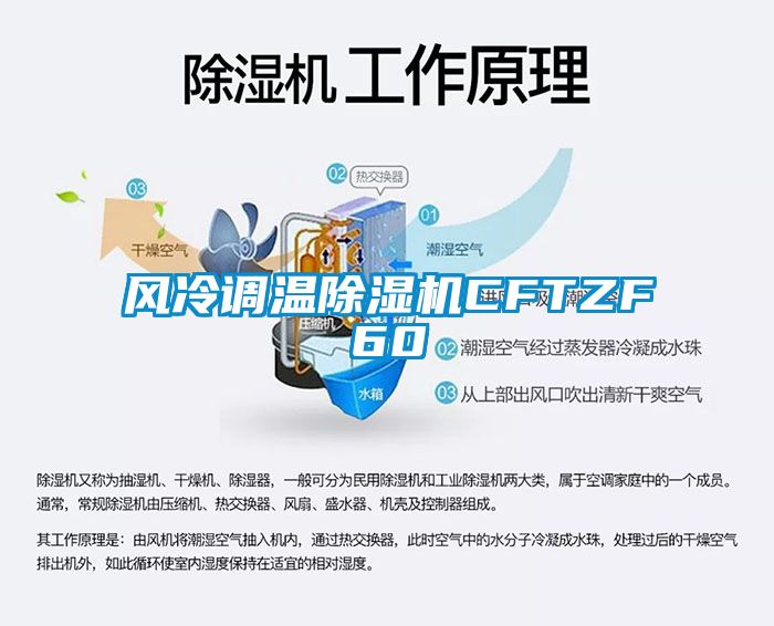 風冷調(diào)溫除濕機CFTZF60