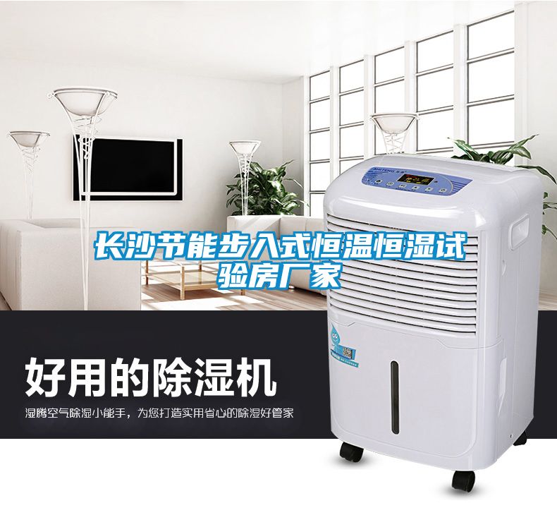 長沙節能步入式恒溫恒濕試驗房廠家
