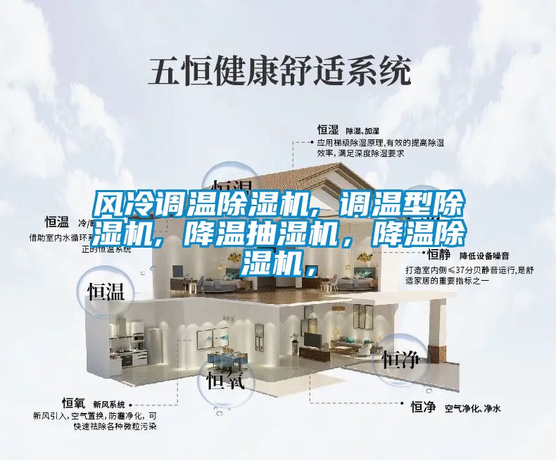 風(fēng)冷調(diào)溫除濕機, 調(diào)溫型除濕機, 降溫抽濕機，降溫除濕機，