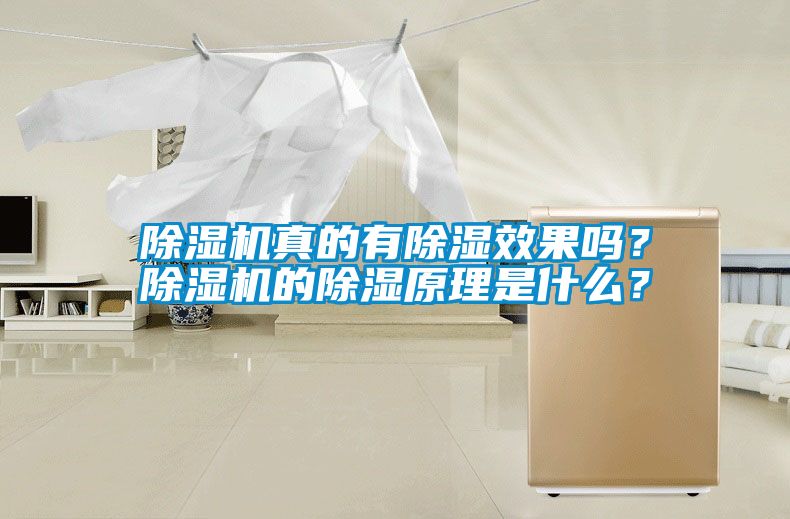 除濕機真的有除濕效果嗎？除濕機的除濕原理是什么？