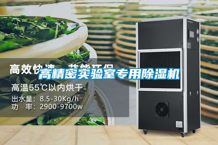 高精密實驗室專用除濕機(jī)