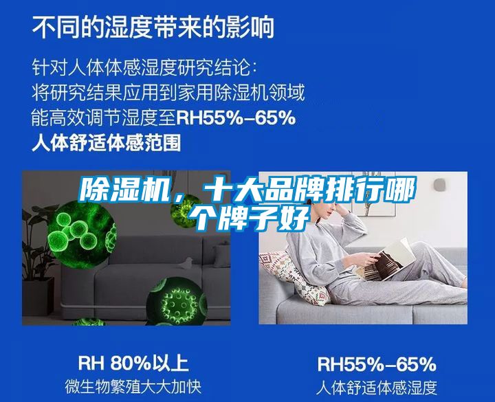 除濕機，十大品牌排行哪個牌子好