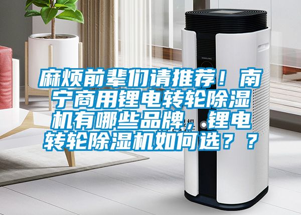 麻煩前輩們請推薦！南寧商用鋰電轉(zhuǎn)輪除濕機(jī)有哪些品牌，鋰電轉(zhuǎn)輪除濕機(jī)如何選？？